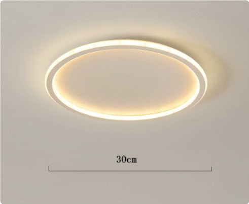 Minimalist LED Ceiling Lamp
