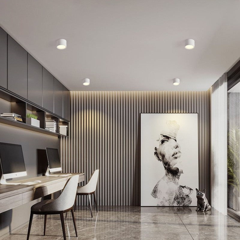 Recessed LED Ceiling Spotlight